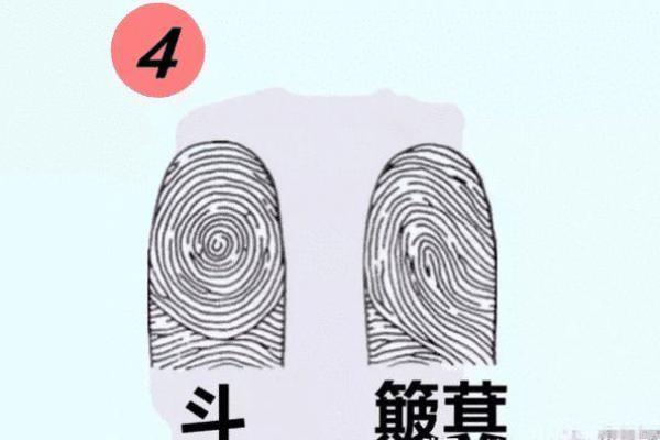 手上没有斗的人，命运何去何从？
