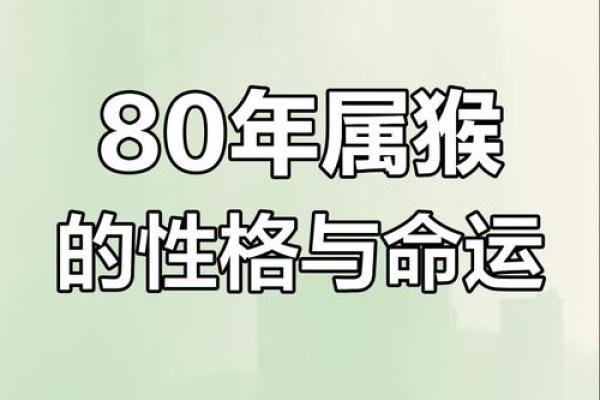 属猴人的命运解析：灵巧与智慧的结合之路
