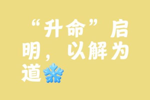 一命还一命，公平与否的深思探讨