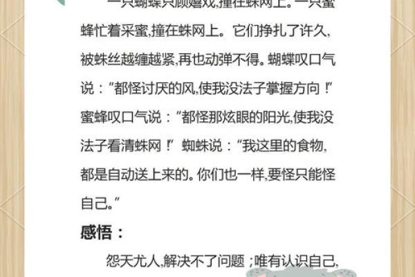 命里带蝴蝶，灵动人生的启示与探索