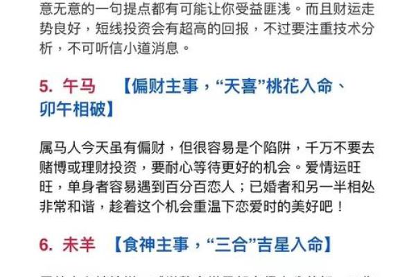 揭开30岁属狗人的土命之谜：命理与人生的完美结合