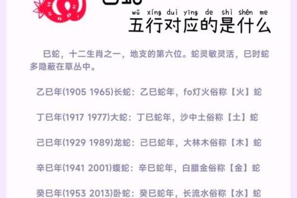 揭秘蛇年戌时男孩的命运与性格：神秘而独特的生命之旅