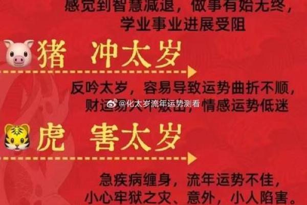 揭秘蛇年戌时男孩的命运与性格：神秘而独特的生命之旅