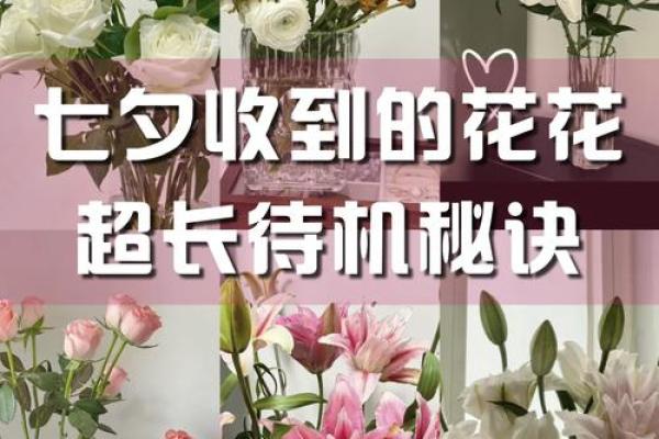 养花与命理：花卉选择与命运的微妙关系