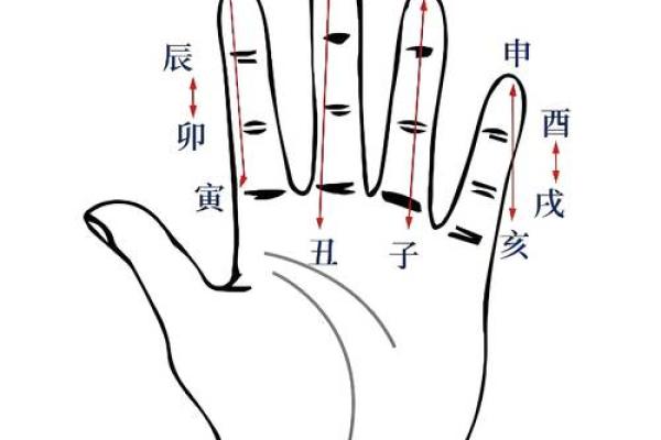 探索1984五行命理与人生成就的微妙关系
