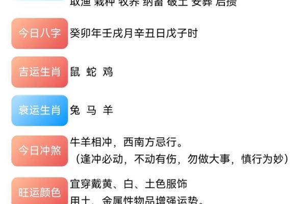 2023年14岁鼠命运解析与生活建议，如何把握机遇与挑战！