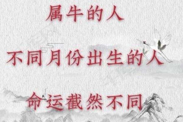 七七三月生人，富贵与命运的交织探索