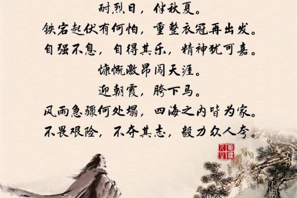 逐命天涯：寻梦路上的千辛万苦与坚韧不拔