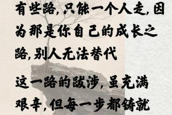 探寻“唯命是从”的深意与启示，如何在人生道路上找到方向与坚持