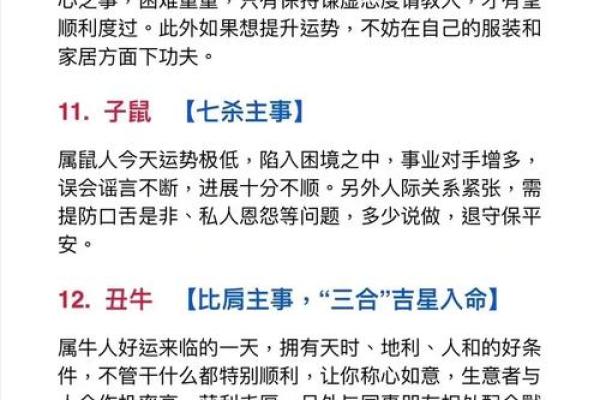 辛丑与甲寅命理解析：无畏风云，逆势而行的命运之旅
