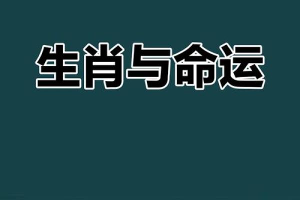 天生贵命的生肖，揭开神秘面纱！