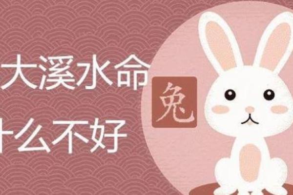 2004年出生者的水命特征与未来发展潜力探索