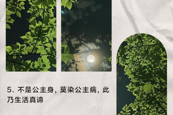 没有什么命别做什么梦，追求梦想的真实意义