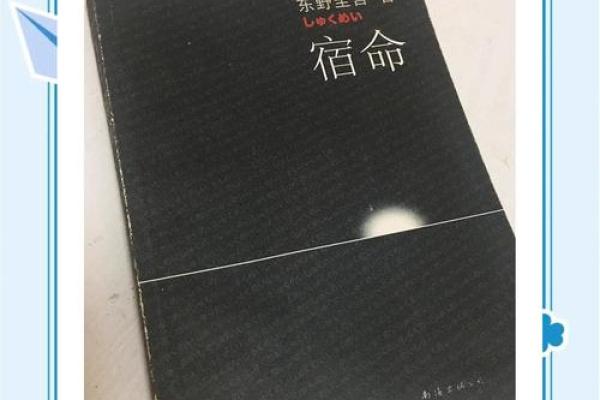 探索命理学家的世界：揭示命运背后的奥秘与智慧