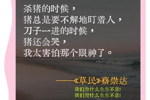 1983年出生的人，一代人的精彩人生与独特命运揭秘