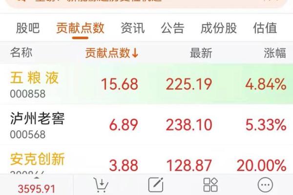 2009年：牛年带来的财富与机遇分析