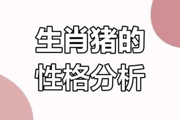 1996年是哪个属相？揭秘1996年猪人的命运与性格！