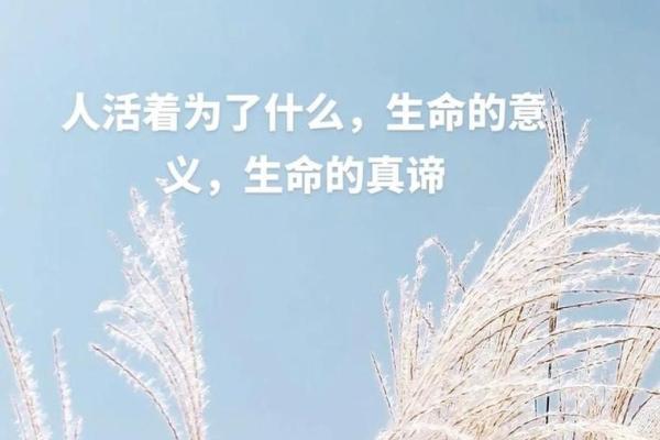 爱与命：那些超越生死的过命之交