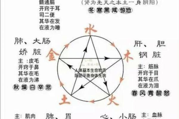 探索命格之谜：如何判断你命中缺失的五行元素