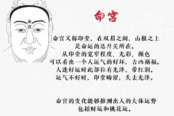 命理学中的命宫相生：探索个人运势的奥秘与启示