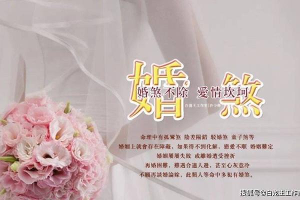 根据出生日期解析命运与人生轨迹