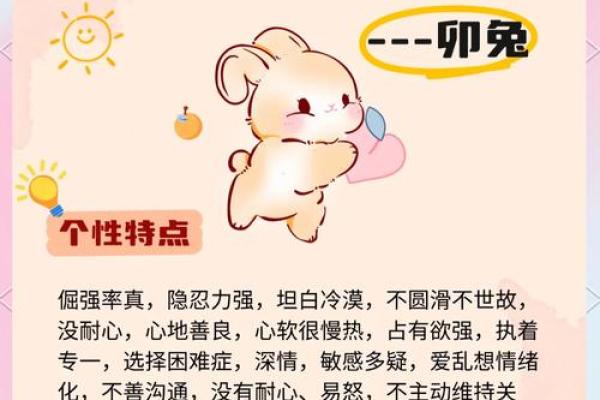 2011年属兔人的命运分析与生活智慧