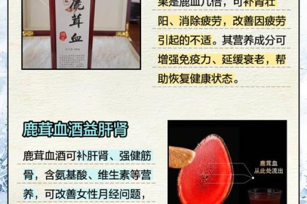 喝血酒：男人勇气与热血的象征