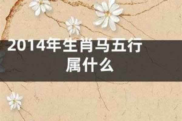 94年属马之人命运解析：探寻时辰对人生的深远影响