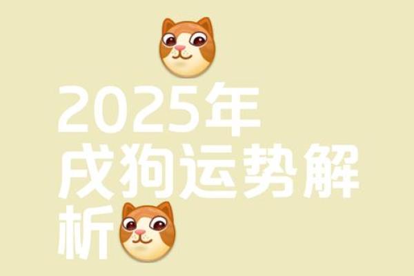 2019年狗年运势解析：揭示你的性格与命运之旅！