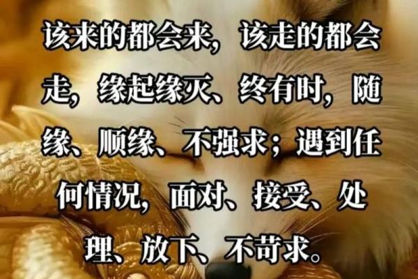 命，是内心深处的指引与人生的密码