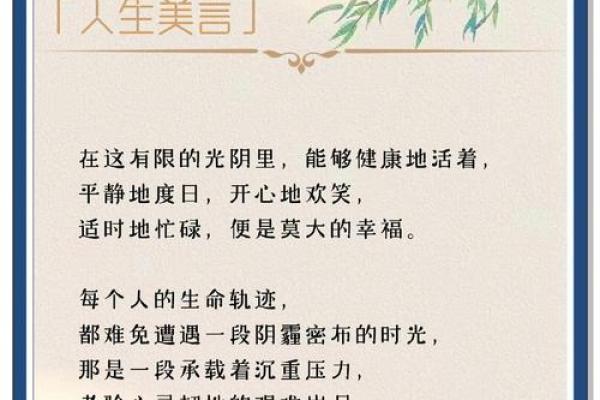 颜值与命运：从容面对人生挑战的智慧与勇气
