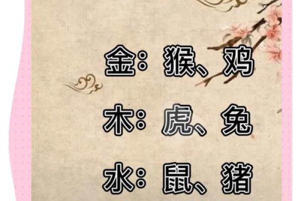 2003年属猪的命运解析：寻找成功与幸福的钥匙