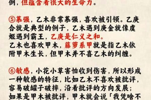 乙木命人的最佳佩戴选择，分享五大法宝与搭配技巧！