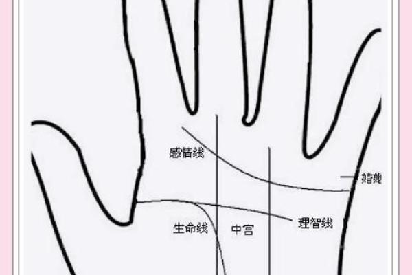 揭秘手相与面相：如何解读命运的秘密！