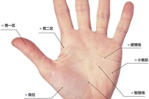 女人手掌粗糙的命运解析：从手相看生活与性格的秘密