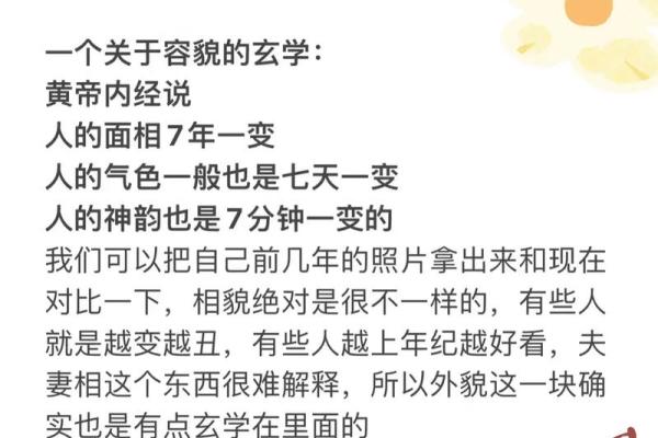 农历198年属什么命：探寻命理背后的深意与文化之美