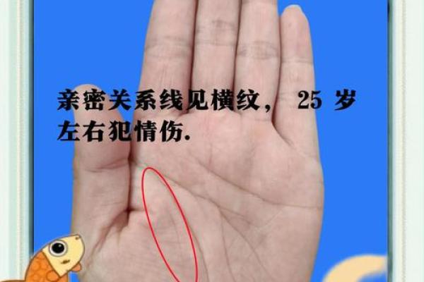 探索手指纹理与命运的奥秘：从指尖看人生