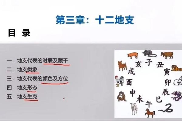 癸卯月出生的命理解析：探寻命运的奥秘与人生的方向