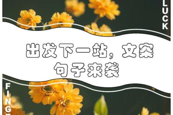什么样的女生注定是油麻菜籽命？探寻内心深处的她们