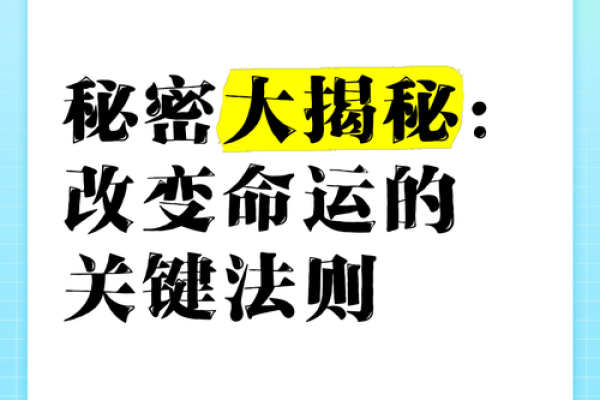 揭开职场流动的秘密：解读“工作来回调动”背后的命运之轮