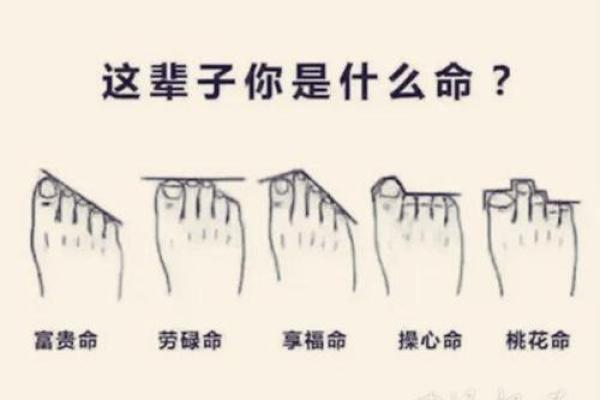1993年4月30日出生的人命运解析及其个性特点