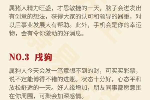41岁属狗的人士命理分析，幸福生活的秘诀与建议