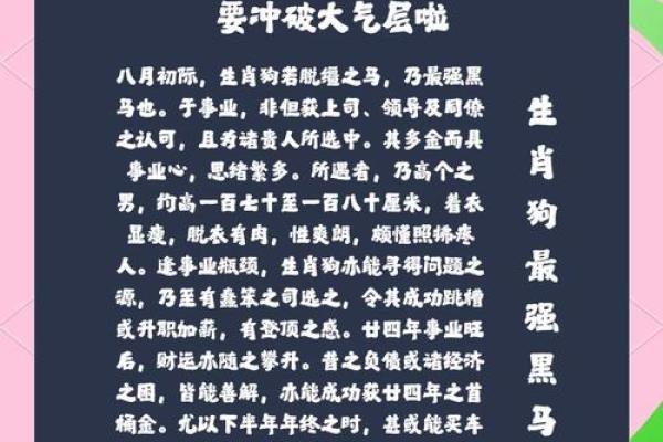 41岁属狗的人士命理分析，幸福生活的秘诀与建议