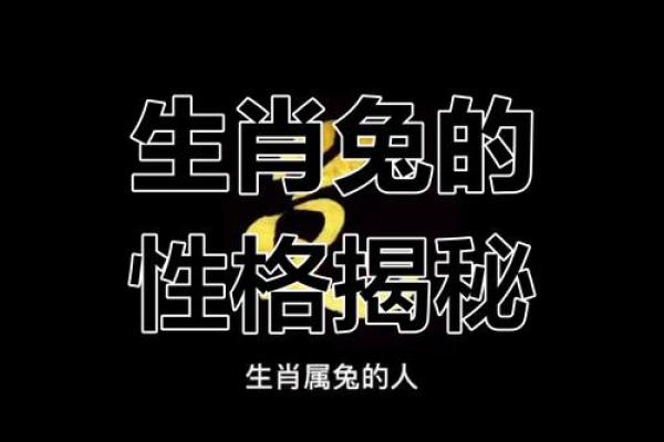 1999年属兔男的命运与性格解析，揭开人生的神秘面纱