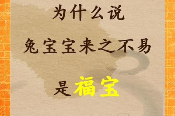 正月十四出生的兔子：命运与性格的深度分析