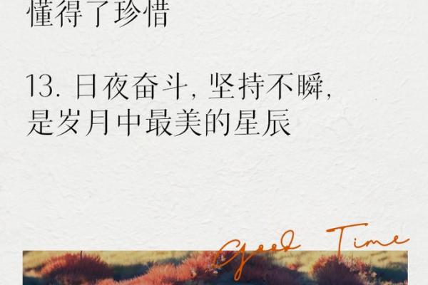 1948年11月的美好回忆：岁月长河中的点滴瞬间