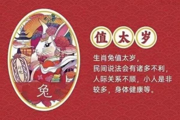 23年兔年宝宝命理解析：财运与人际关系的秘密！