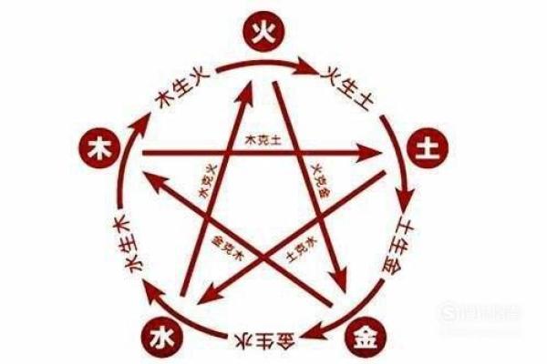 了解木命：如何通过节气交运提升运势与智慧