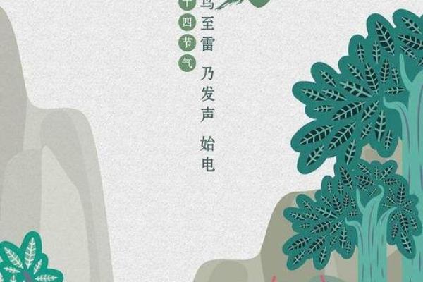 了解木命：如何通过节气交运提升运势与智慧
