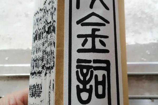 出马弟子的命运解析：神秘传承与灵性探索之旅